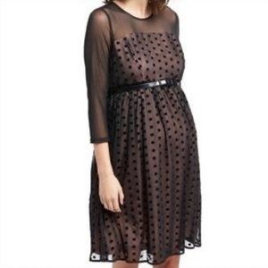 Motherhood Maternity Occasion Fit & Flare Black/Blush Netting Dress - S